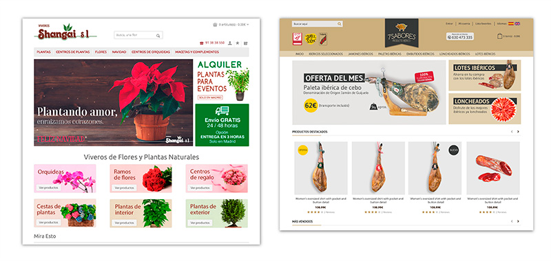Trabajos de tiendas online realizados por Agencia Molezún